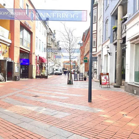 Apartment Furnished 1 Bedroom I Center Kolding