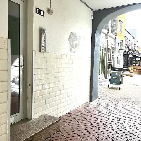 Furnished 1 Bedroom I Center Apartment Kolding